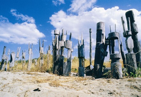 Indigenous culture in Tiwi Island
