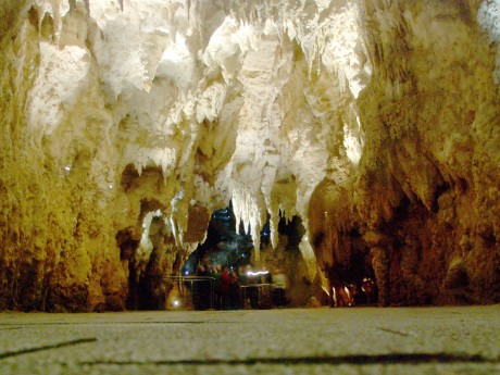 The Cathedral in the Waitomo Glowworm Caves